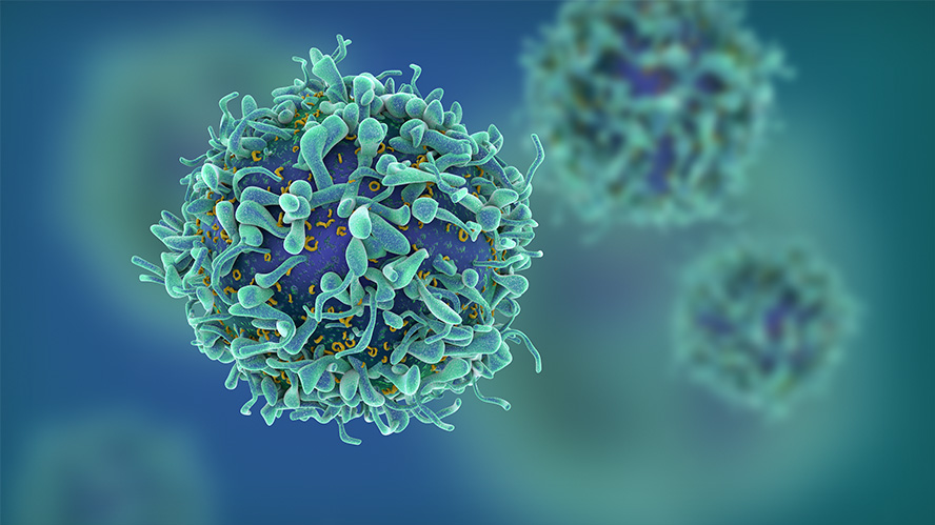 Illustration of a T-Cell with 2 other cells blurred in the background.